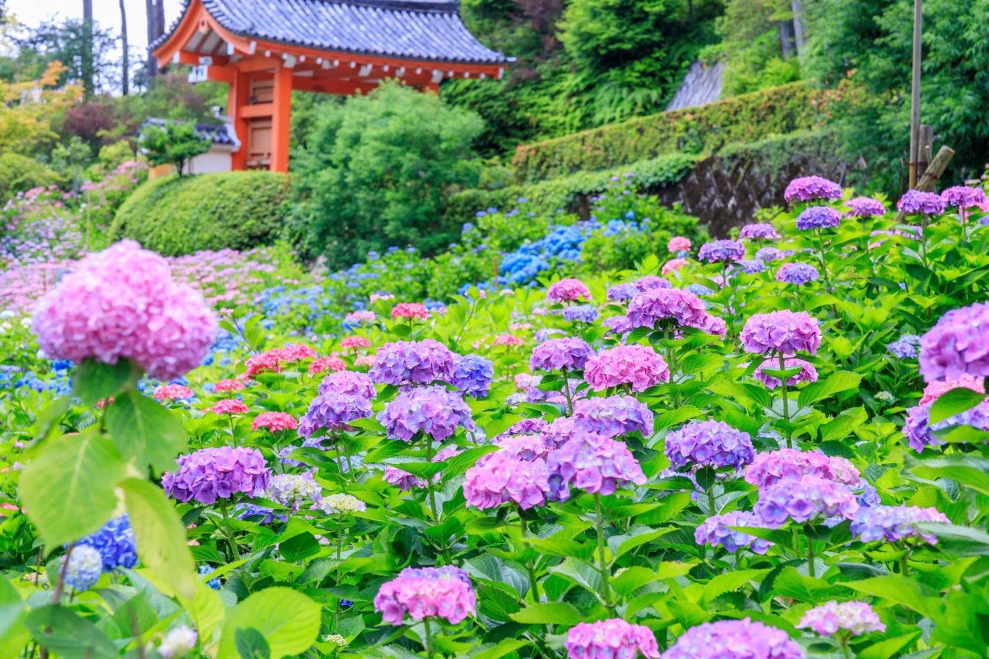 Mimaru Suites Kyoto Shijo Luaran gambar